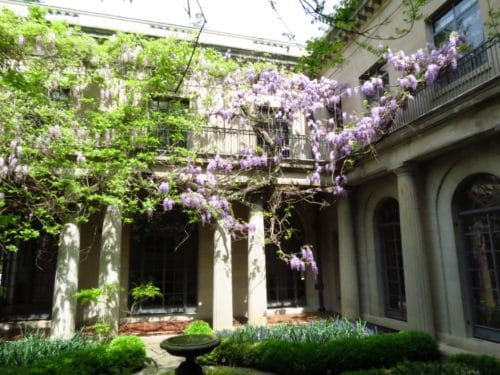 wisteria courtyard