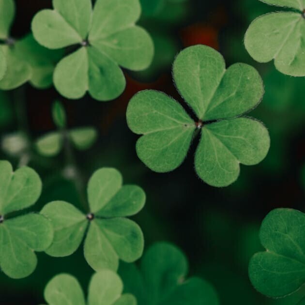 Irish Food St. Patrick's Day Hoboken Jersey City