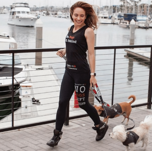no dogs left behind dog rescue nonprofit