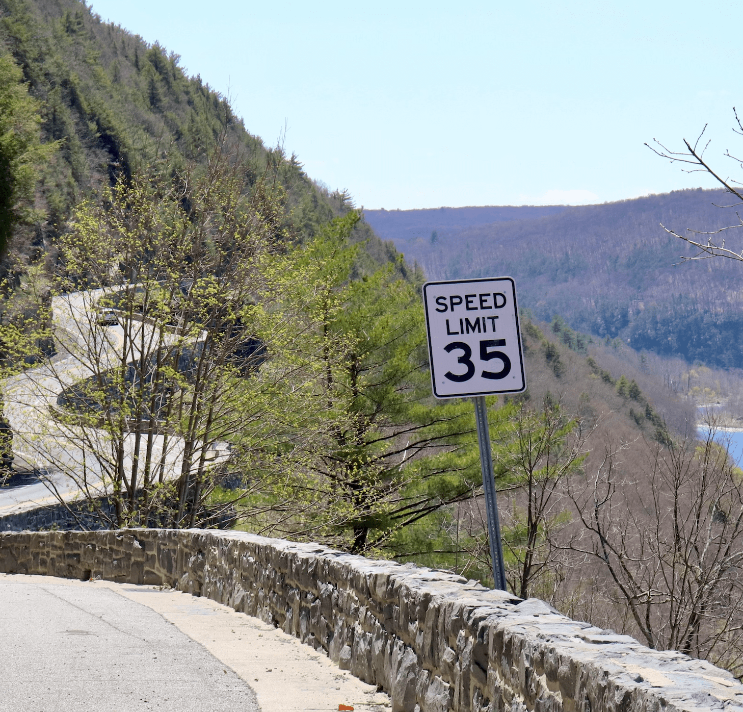 Hawk's Nest