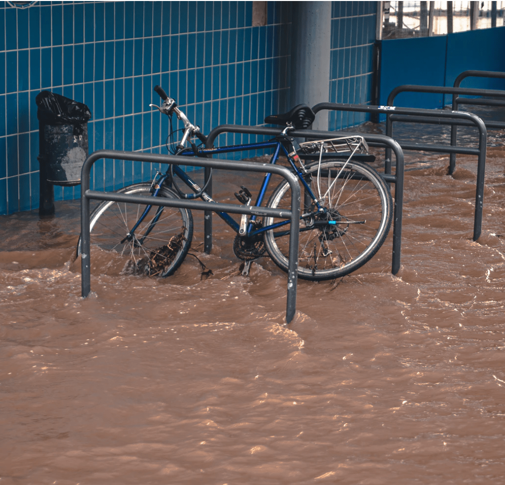 flood coalition