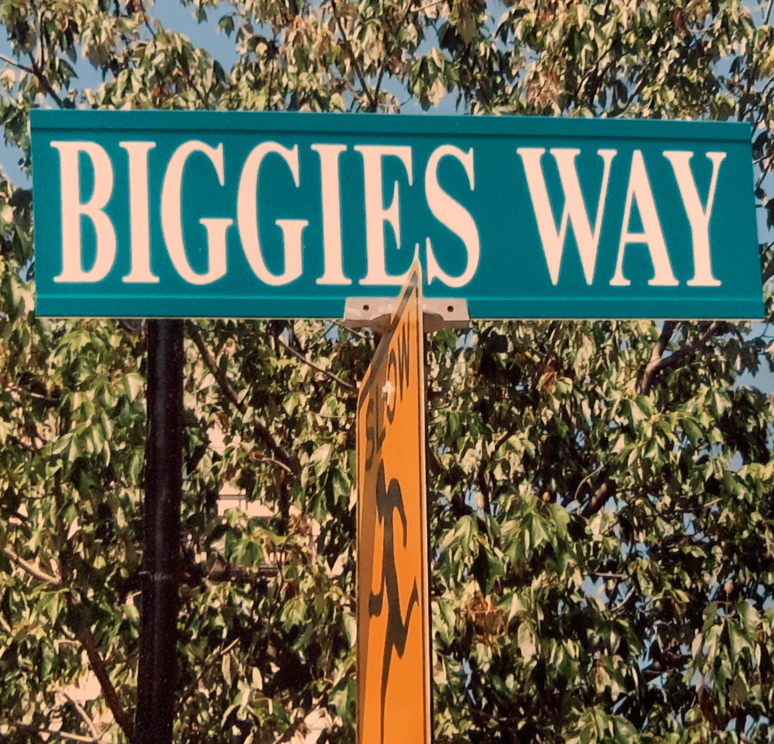 brother biggie