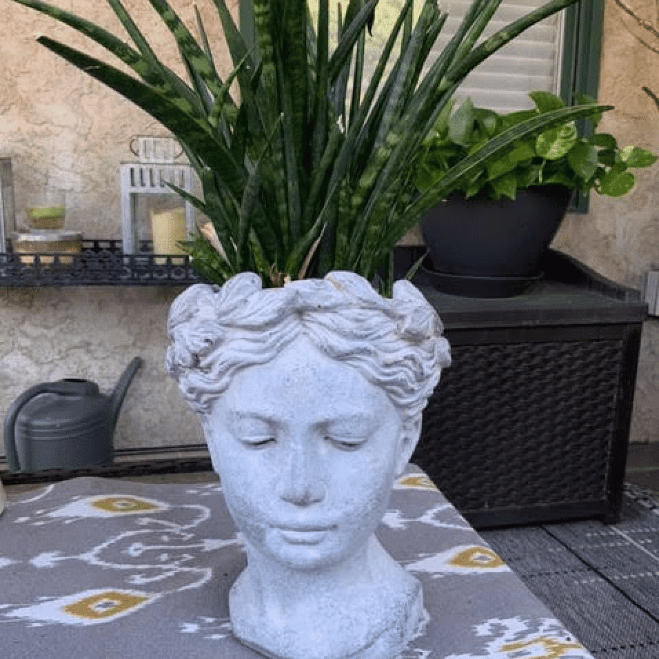 August Galifi's Patio