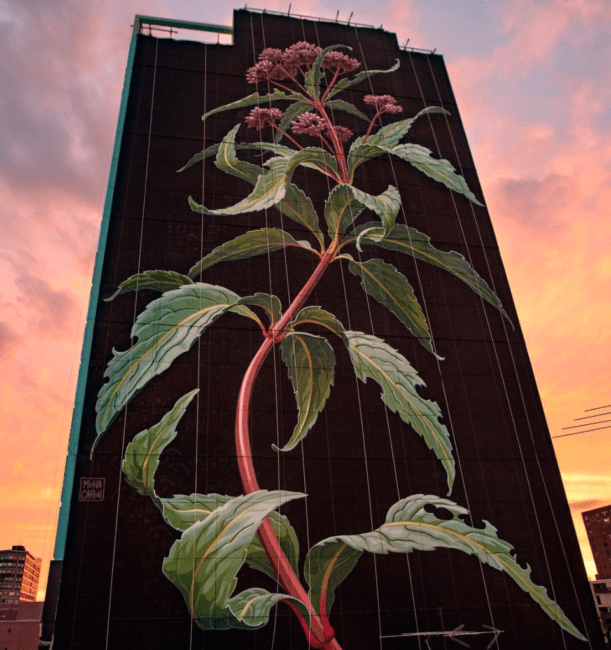 jersey city mural