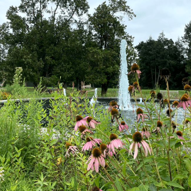 Duke Farms