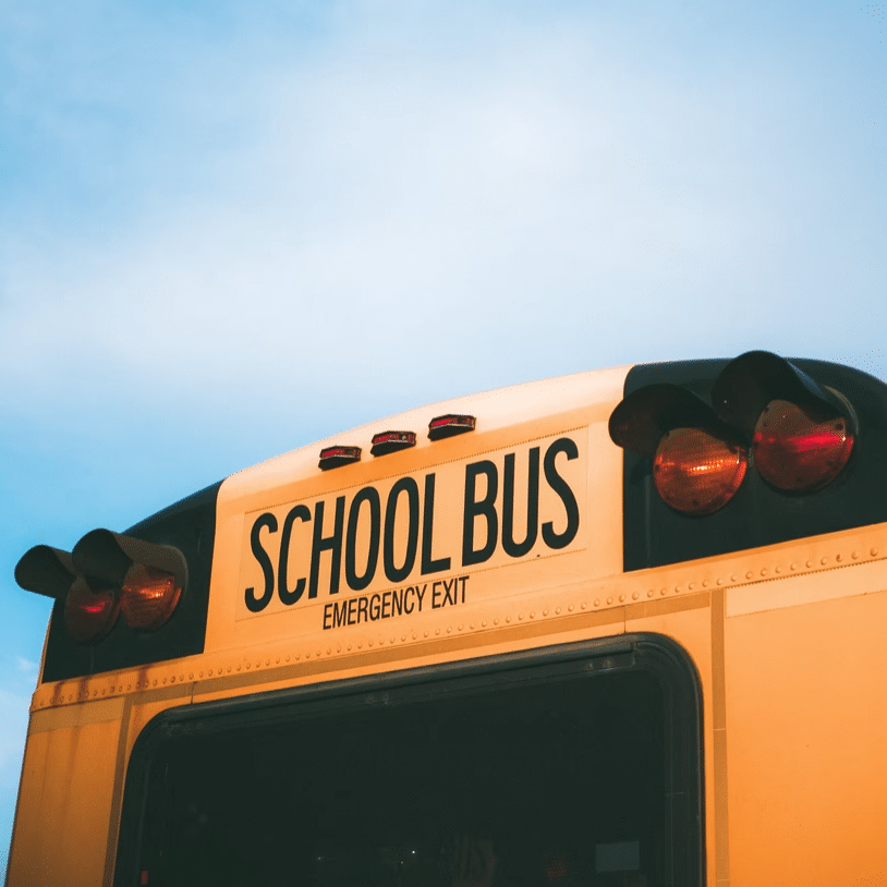 bus