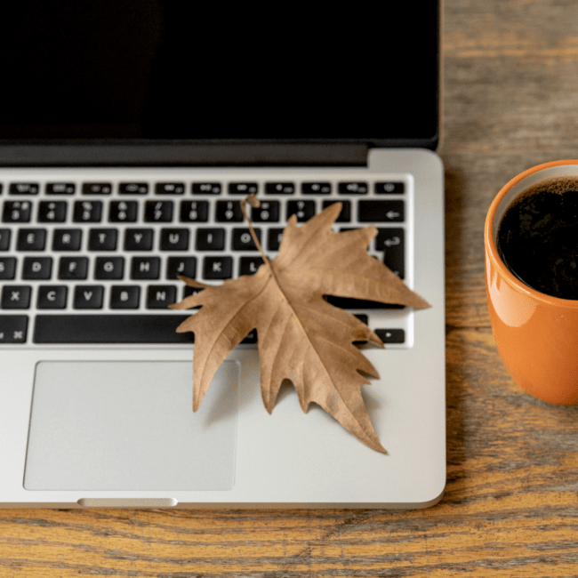 Weekly Job Listings Hoboken