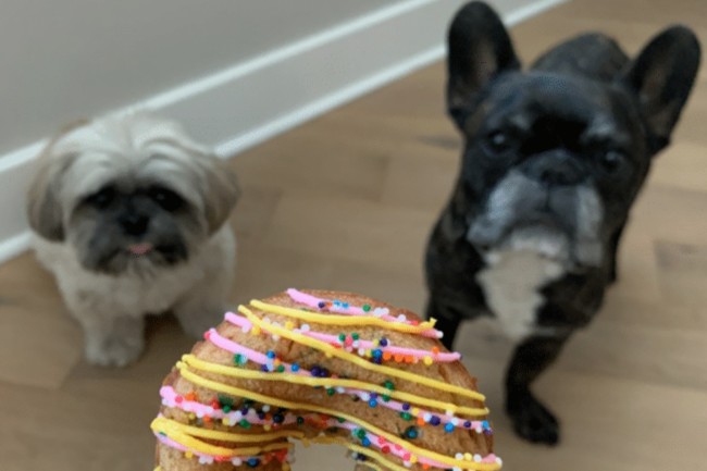 dog friendly menu items hoboken jersey city