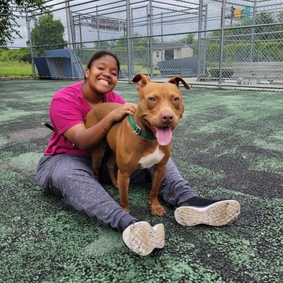 dog liberty humane society jersey city