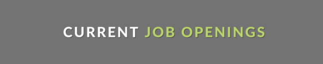 Website Divider Button Current Job Openings