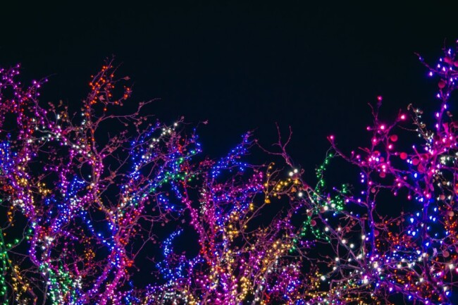 holiday lights displays new jersey new york pennsylvania