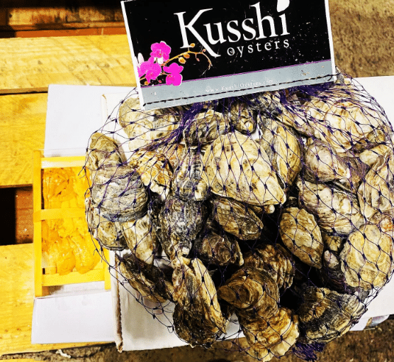 kusshi oysters scale fish market