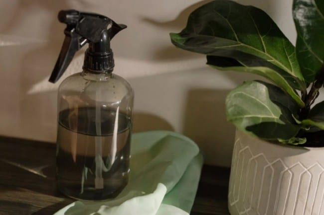 mold removal Hudson county