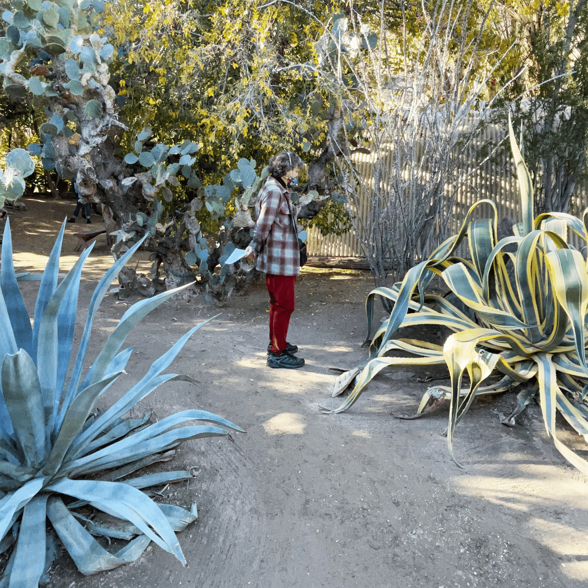 moorten botanical gardens Palm Springs