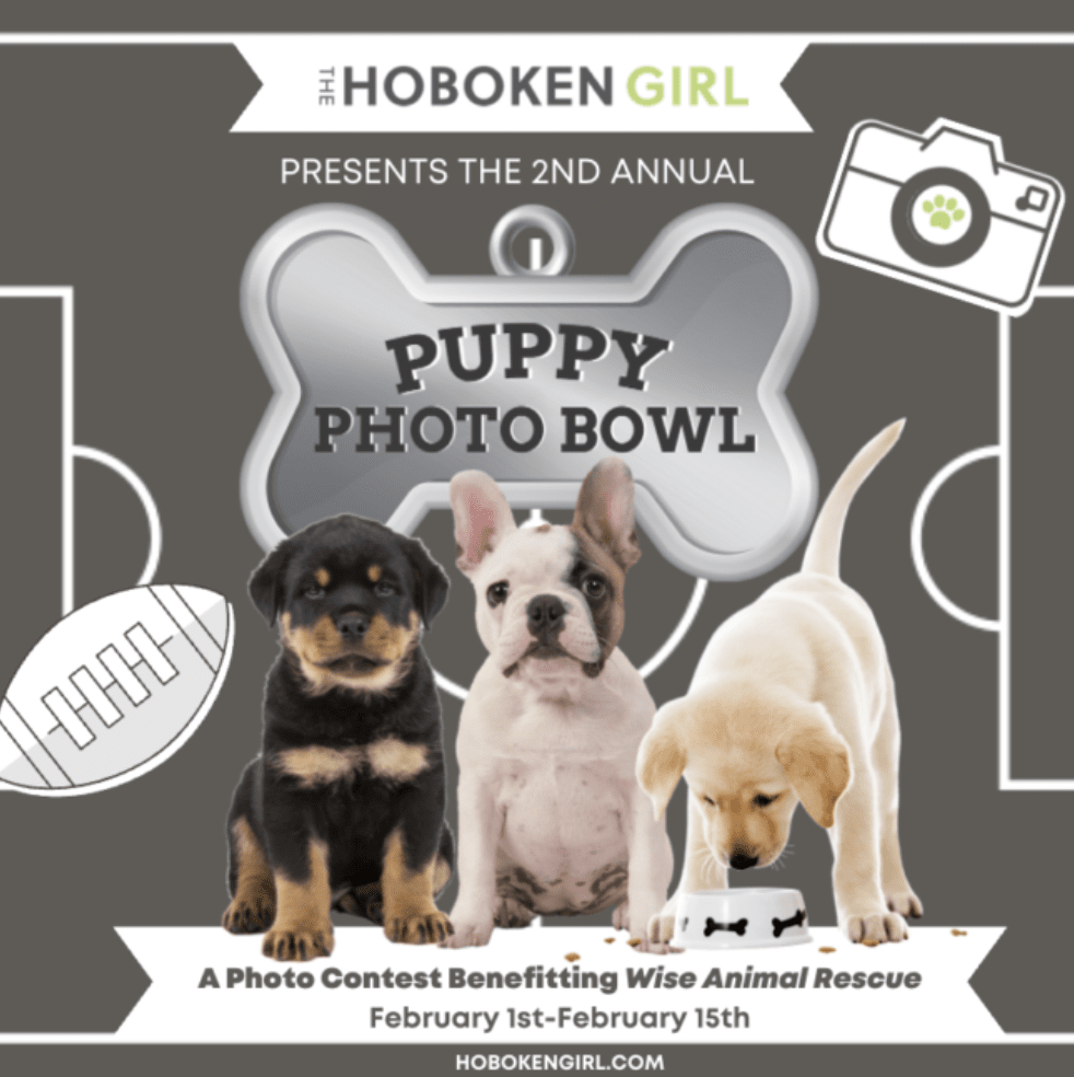 hoboken puppy bowl