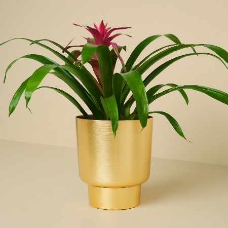 rental re do products