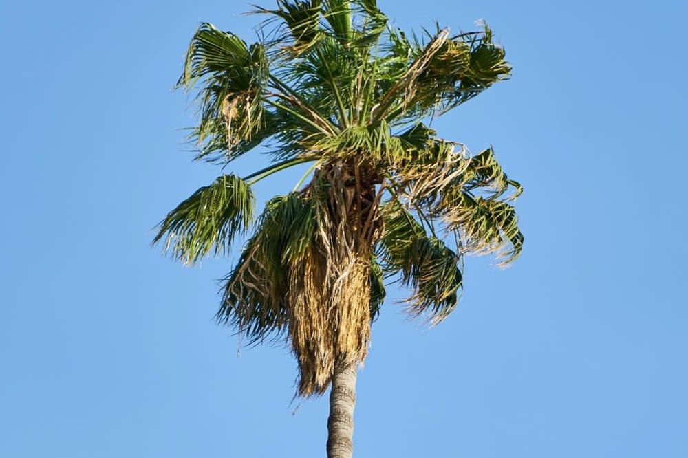 Your Weekend Trip Guide to Murrells Inlet, South Carolina