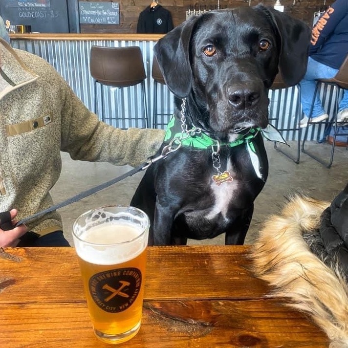 902 brewing 