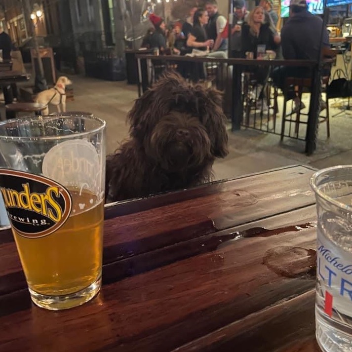 wicket finnegans
