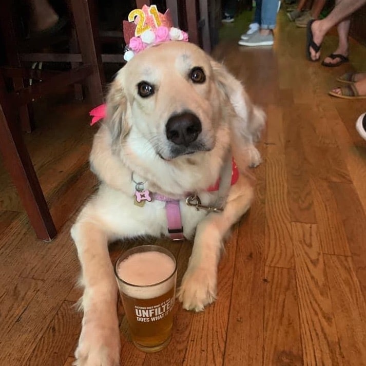 lucy the ale house 