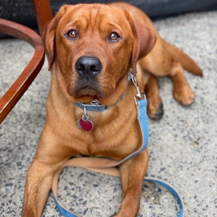 Winchester Finnegan's