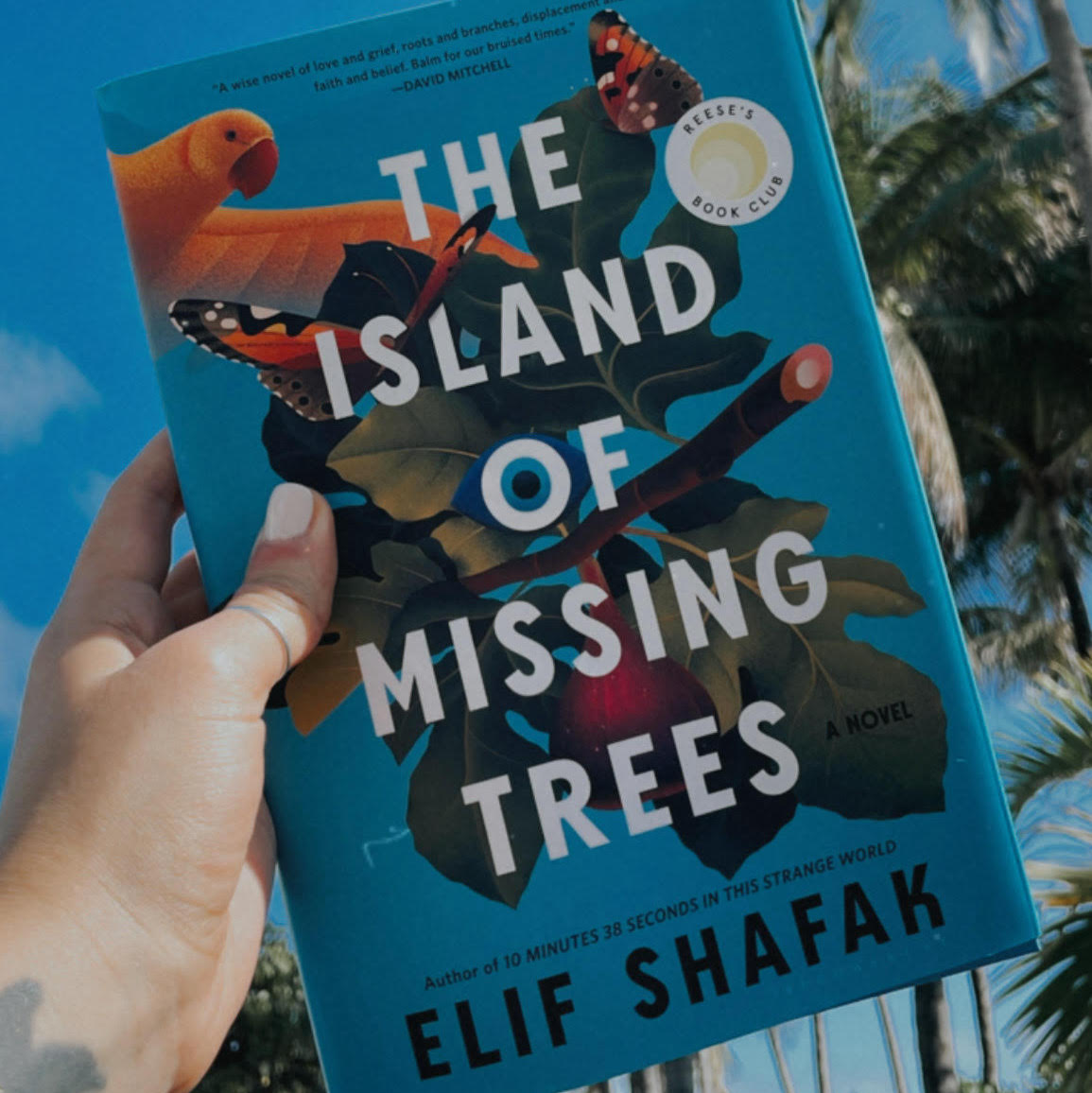 The Island of Missing Trees