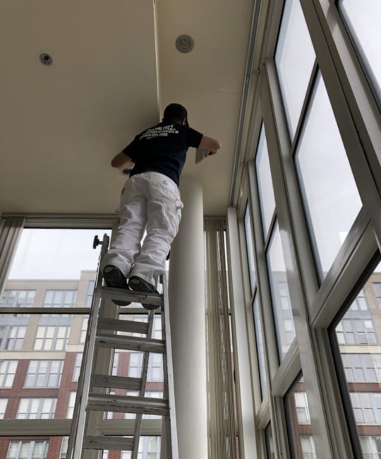 hoboken painter