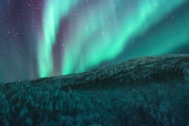 northern lights nyc 2022