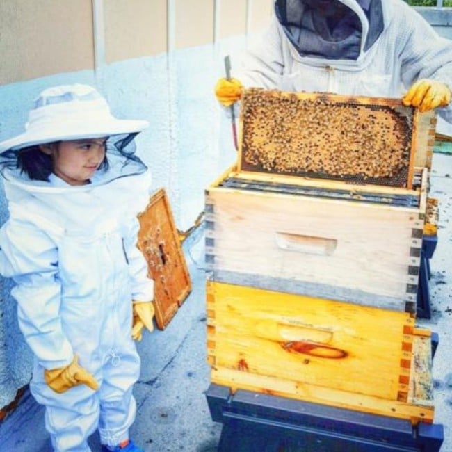 bee keeping montessori ukrainian refugees jersey city