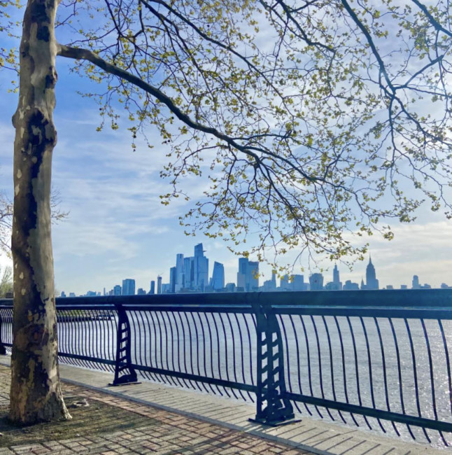 evolve hoboken