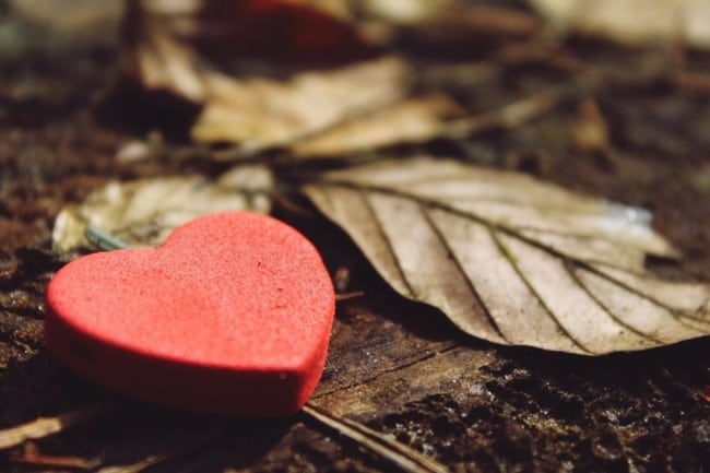heart forest floor