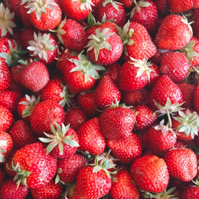 berry picking new jersey 