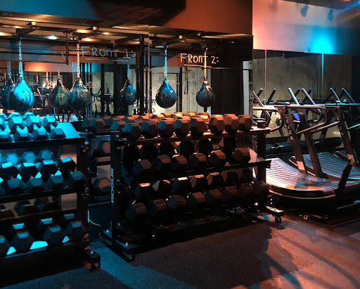 project sculpt hoboken