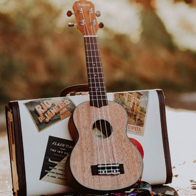 ukulele suitcase outdoors