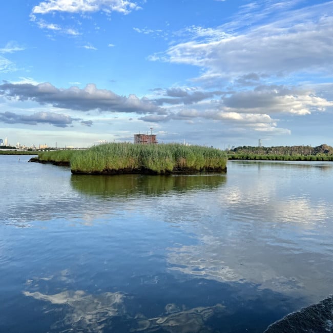 marshes wetlands hackensack river