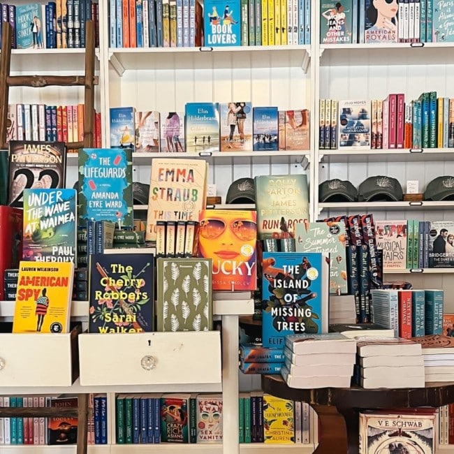 bookshelves dune