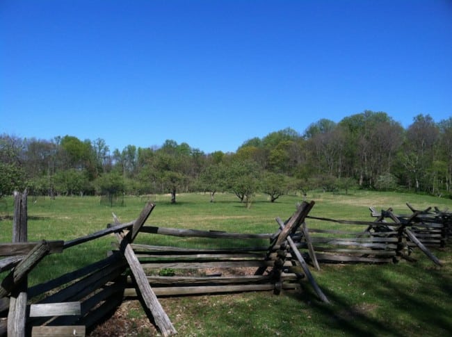 morristown things to do