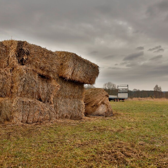 best hayrides north jersey