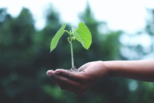 new jersey climate change school curriculum