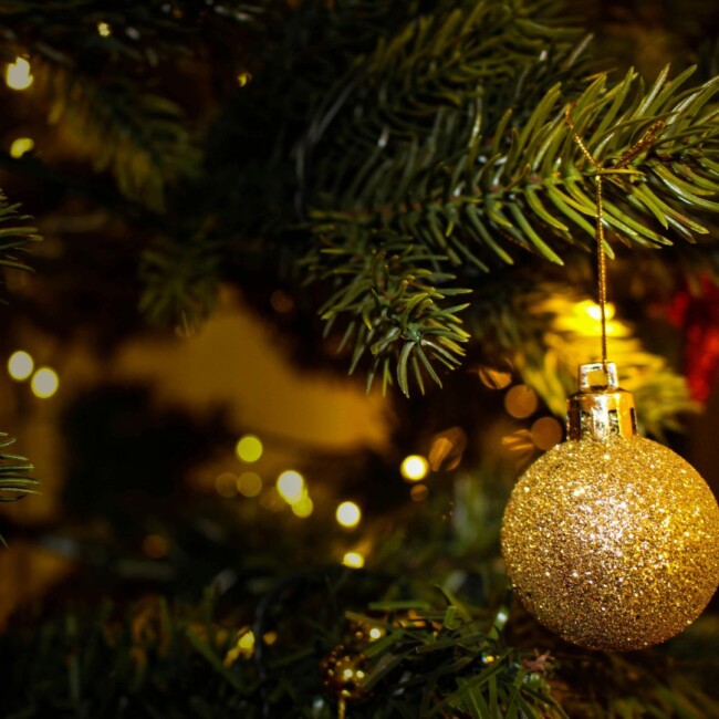 things to do events holidays hoboken jersey city 2023
