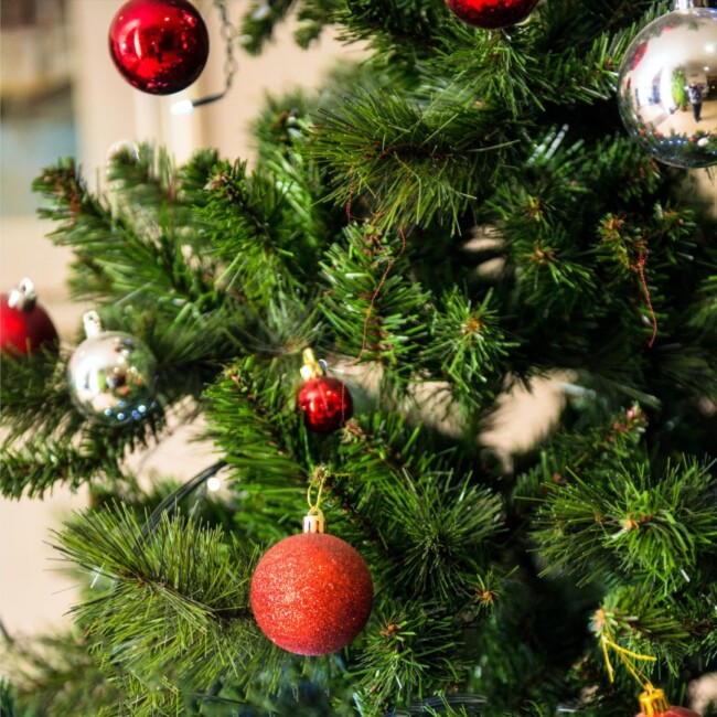 how to dispose of christmas trees hoboken jersey city weehawken montclair