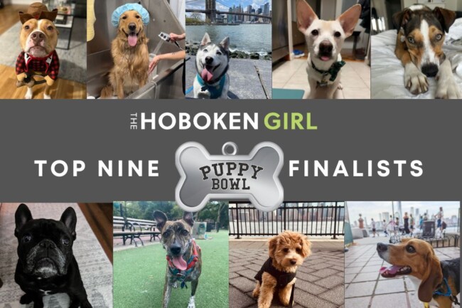 hoboken girl puppy bowl finalists