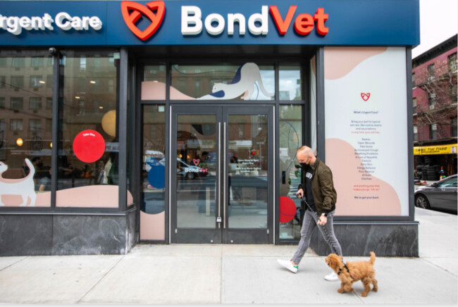 Bond Vet Opens in Hoboken