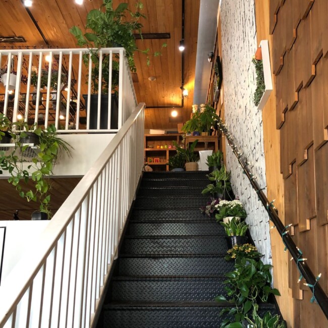 cafe plant shop jersey city semicolon cafe interior