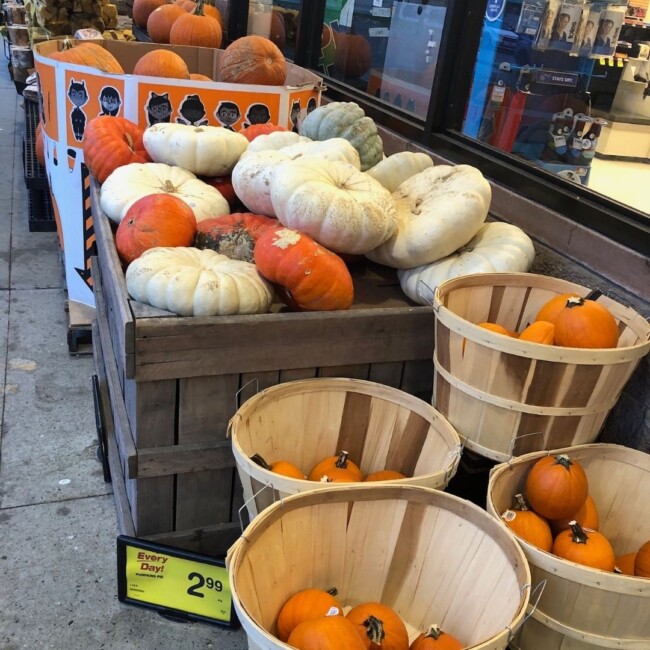carving pumpkins acme jersey city