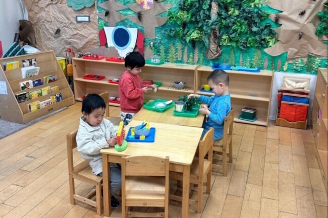 hudson montessori