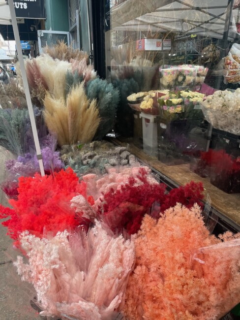 colorful pampas grasses at the NYC flower market