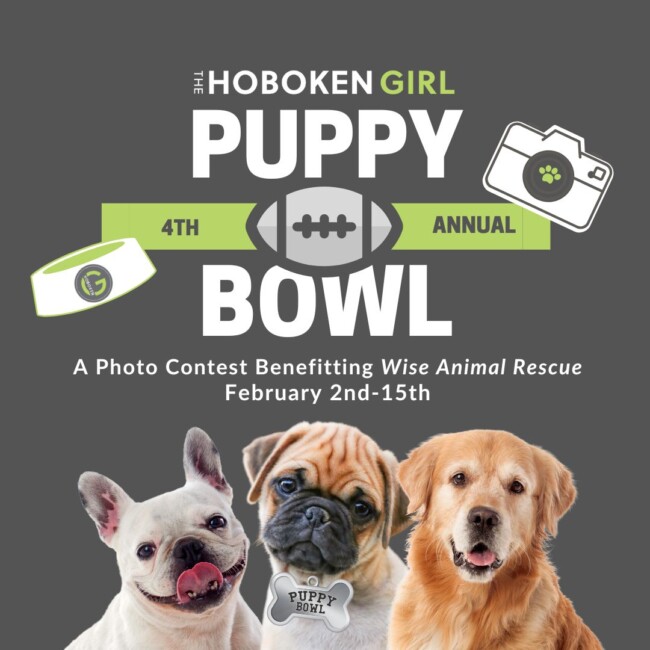 hoboken girl puppy bowl nominate 2024