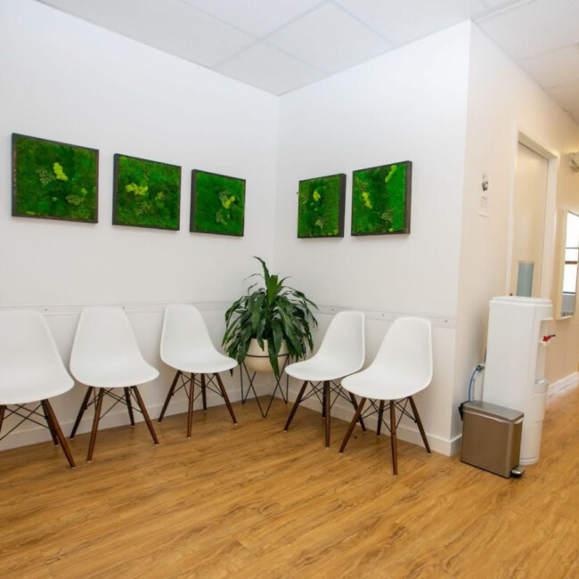 Waiting room with white chairs and plants in Harborside Sport & Spine