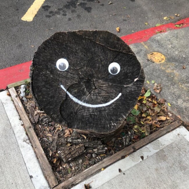 hoboken nj stump 